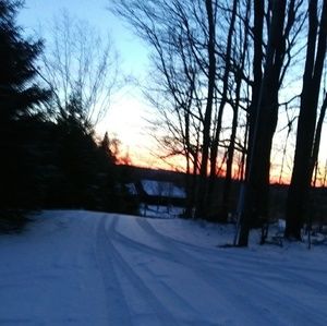 Meet your Posher, Patty